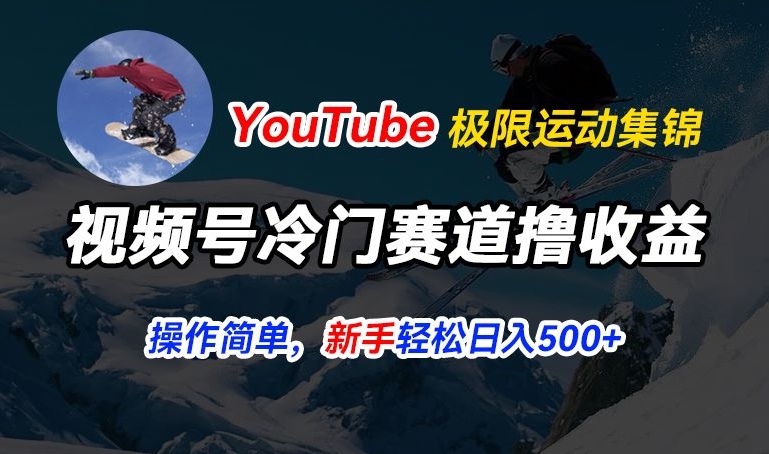 视频号冷门赛道撸收益，YouTube搬运极限运动集锦，暴力起号，操作简单流量高，轻松日入5张【揭秘】-网赚项目众筹网