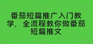 番茄短篇推广入门教学，全流程教你做番茄短篇推文-网赚项目众筹网