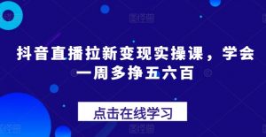 抖音直播拉新变现实操课,学会一周多挣五六百-网赚项目众筹网