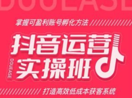 抖音运营实操班，掌握可盈利账号孵化方法，打造高效低成本获客系统-网赚项目众筹网