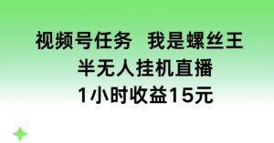 视频号任务,我是螺丝王, 半无人挂机1小时收益15元【揭秘】-网赚项目众筹网