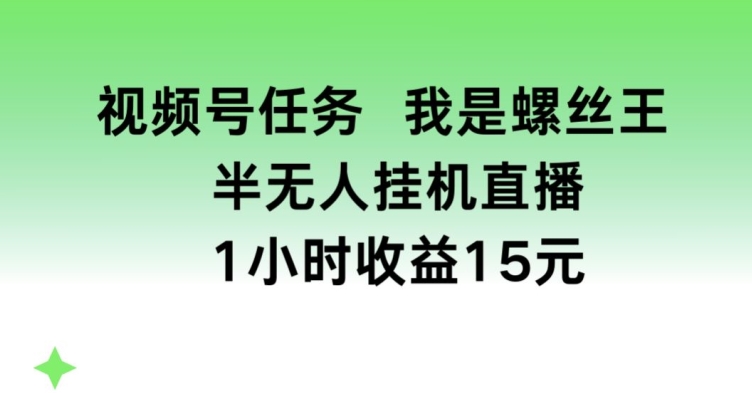 视频号任务，我是螺丝王， 半无人挂机1小时收益15元【揭秘】-网赚项目众筹网
