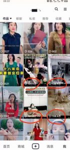 短剧智能叠加搬运技术,安卓配合软件模板操作-网赚项目众筹网