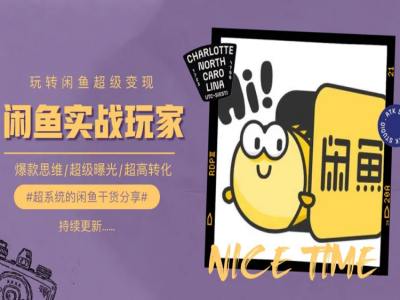 手把手教你0到1系统玩转闲鱼变现，爆款思维/超级曝光/超高转化-网赚项目众筹网