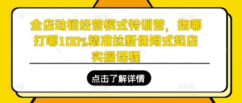 全店动销经营模式特训营，指哪打哪100%精准拉新保姆式起店实操课程-网赚项目众筹网