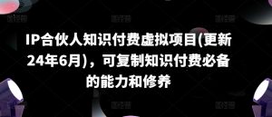 IP合伙人知识付费虚拟项目(更新24年6月),可复制知识付费必备的能力和修养-网赚项目众筹网