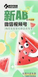 梅花实验室2024年AB技术视频号AB合成破解版-网赚项目众筹网