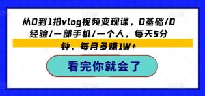 从0到1拍vlog视频变现课,0基础/0经验/一部手机/一个人,每天5分钟,每月多赚1W+-网赚项目众筹网