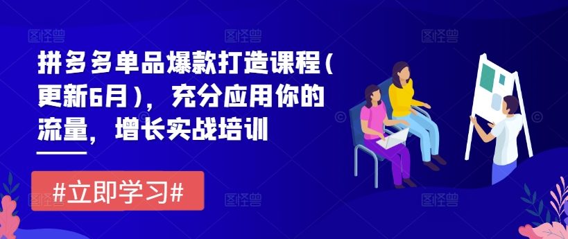 拼多多单品爆款打造课程(更新6月)，充分应用你的流量，增长实战培训-网赚项目众筹网