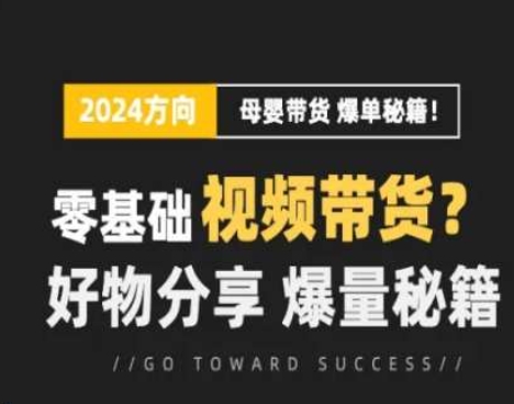 短视频母婴赛道实操流量训练营，零基础视频带货，好物分享，爆量秘籍-网赚项目众筹网