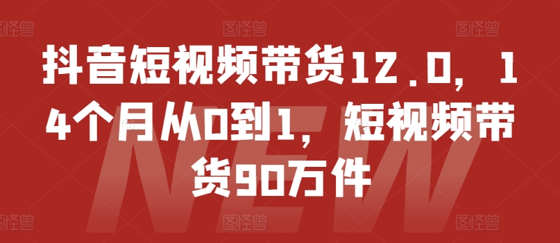 抖音短视频带货12.0，14个月从0到1，短视频带货90万件-网赚项目众筹网
