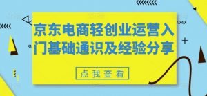 京东电商轻创业运营入门基础通识及经验分享-网赚项目众筹网