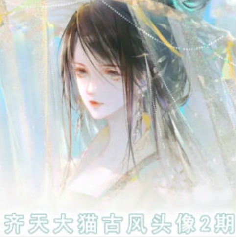 齐天大猫古风头像课第2期，帮助您提高您的绘画技能-网赚项目众筹网