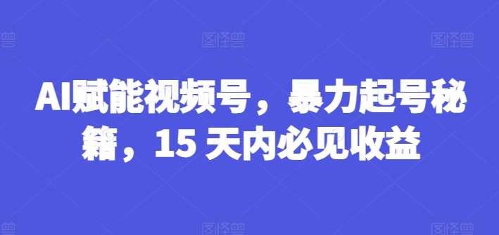 AI赋能视频号，暴力起号秘籍，15 天内必见收益【揭秘】-网赚项目众筹网