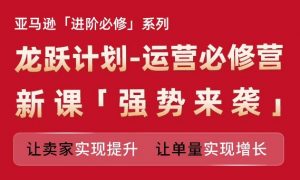 亚马逊进阶必修系列,龙跃计划-运营必修营新课,让卖家实现提升 让单量实现增长-网赚项目众筹网