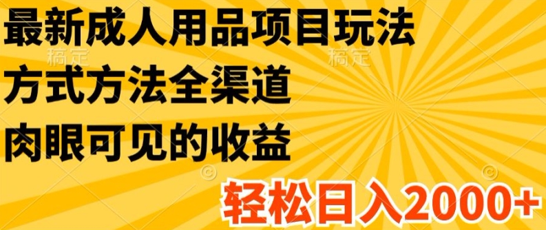 最新成人用品项目玩法，方式方法全渠道，轻松日入2K+【揭秘】-网赚项目众筹网