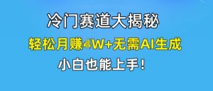 冷门赛道大揭秘,轻松月赚1W+无需AI生成,小白也能上手【揭秘】-网赚项目众筹网
