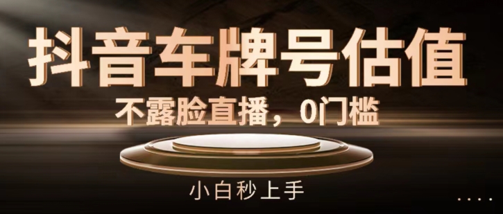 抖音车牌号估值，不露脸直播，0门槛，小白秒上手【揭秘】-网赚项目众筹网