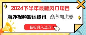 2024下半年最新风口项自,海外视频搬运腾讯,小白可上手,轻松月入过万【揭秘】-网赚项目众筹网