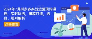 2024年7月拼多多实战运营现场课程，实时玩法，爆款打造，选品、规则解析-网赚项目众筹网