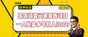 国内调查问卷矩阵项目,一人批量多号月入3000【揭秘】-网赚项目众筹网