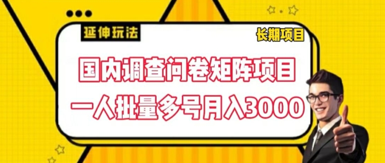 国内调查问卷矩阵项目，一人批量多号月入3000【揭秘】-网赚项目众筹网