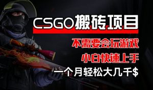 CSGO 装备搬砖项目,操作简单,不需要会玩游戏,小白也能快速上手,一个月轻松大几千【揭秘】-网赚项目众筹网