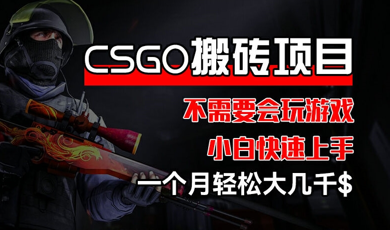 CSGO 装备搬砖项目，操作简单，不需要会玩游戏，小白也能快速上手，一个月轻松大几千【揭秘】-网赚项目众筹网