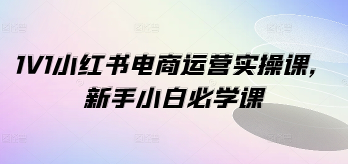 1V1小红书电商运营实操课，新手小白必学课-网赚项目众筹网
