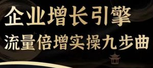 企业增长引擎流量倍增实操九步曲,一套课程帮你找到快速、简单、有效、可复制的获客+变现方式,-网赚项目众筹网