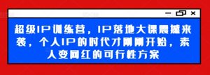 超级IP训练营,IP落地大课震撼来袭,个人IP的时代才刚刚开始,素人变网红的可行性方案-网赚项目众筹网