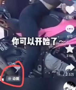 2024年7月苹果手机动图搬运技术-网赚项目众筹网