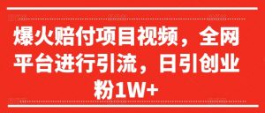 爆火赔付项目视频,全网平台进行引流,日引创业粉1W+【揭秘】-网赚项目众筹网