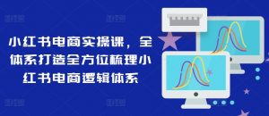 小红书电商实操课,全体系打造全方位梳理小红书电商逻辑体系-网赚项目众筹网