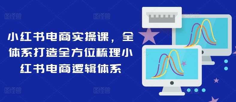 小红书电商实操课，全体系打造全方位梳理小红书电商逻辑体系-网赚项目众筹网