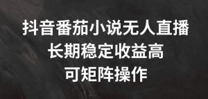 抖音番茄小说无人直播,长期稳定收益高,可矩阵操作【揭秘】-网赚项目众筹网