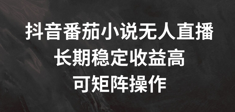 抖音番茄小说无人直播，长期稳定收益高，可矩阵操作【揭秘】-网赚项目众筹网