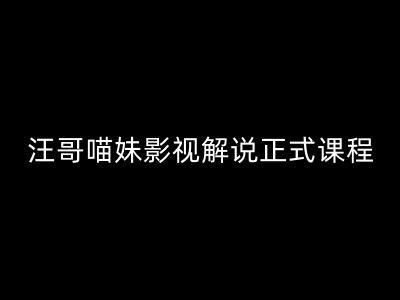 汪哥影视解说正式课程：剪映/PR教学/视解说剪辑5大黄金法则/全流程剪辑7把利器等等-网赚项目众筹网