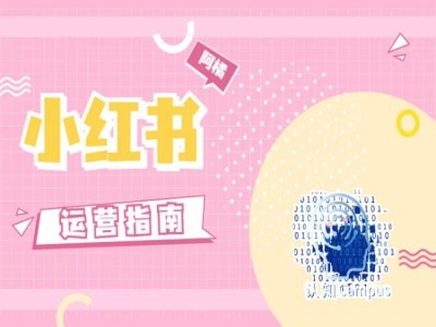 小红书运营指南，没有套路，全是经验-网赚项目众筹网