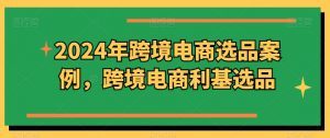 2024年跨境电商选品案例,跨境电商利基选品(更新)-网赚项目众筹网