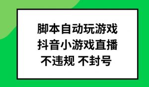 脚本自动玩游戏，抖音小游戏直播，不违规不封号可批量做【揭秘】-网赚项目众筹网