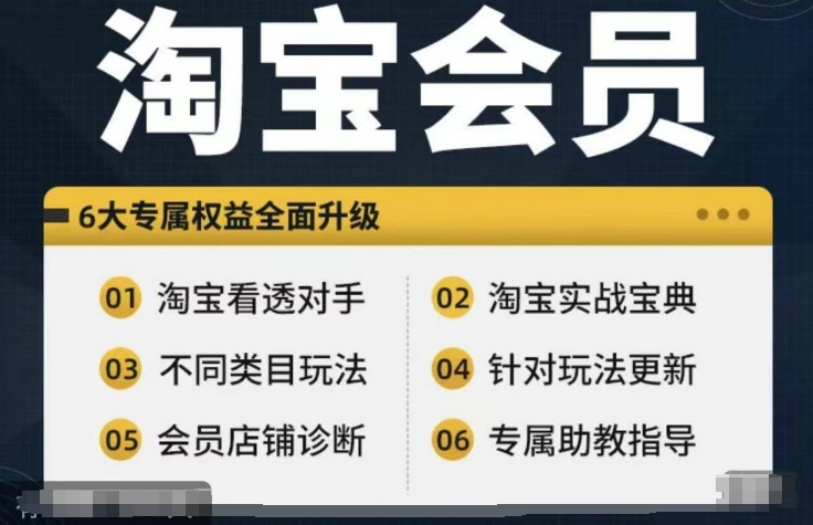 淘宝会员【淘宝所有课程，全面分析对手】，初级到高手全系实战宝典-网赚项目众筹网