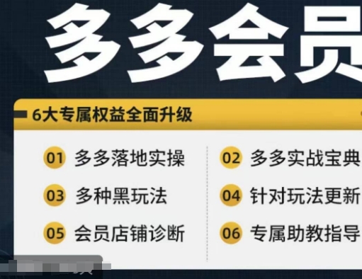 拼多多会员，拼多多实战宝典+实战落地实操，从新手到高阶内容全面覆盖-网赚项目众筹网