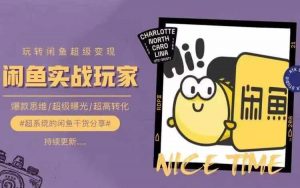 从0到1系统玩转闲鱼变现，教你核心选品思维，提升产品曝光及转化率-网赚项目众筹网