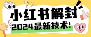 2024最新小红书账号封禁解封方法，无限释放手机号【揭秘】-网赚项目众筹网