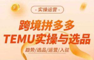 跨境拼多多TEMU实操与选品，多多temu跨境选品运营实操-网赚项目众筹网