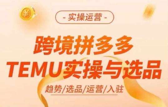 跨境拼多多TEMU实操与选品，多多temu跨境选品运营实操-网赚项目众筹网