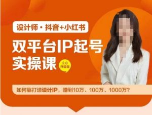 双平台IP起号实操营，教你如何靠打造设计IP，赚到10万、100万、1000万?-网赚项目众筹网