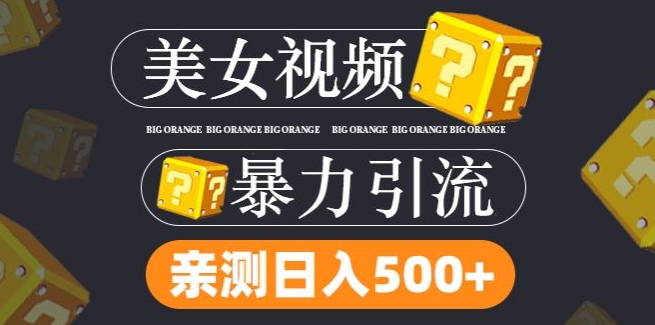 搬运tk美女视频全网分发，日引s粉300+，轻松变现，不限流量不封号【揭秘】-网赚项目众筹网