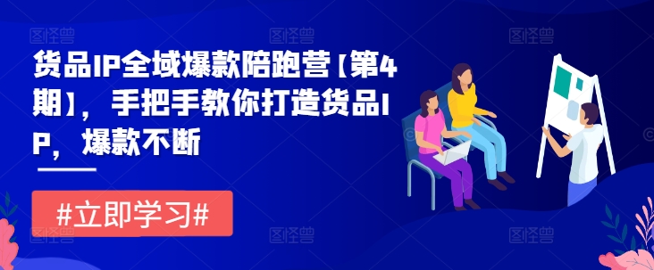 货品IP全域爆款陪跑营【第4期】，手把手教你打造货品IP，爆款不断-网赚项目众筹网